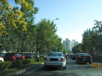 Passenger Car Appications (High Performance Brake Rotor)